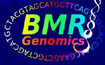 Logo BMR