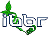 IBBR